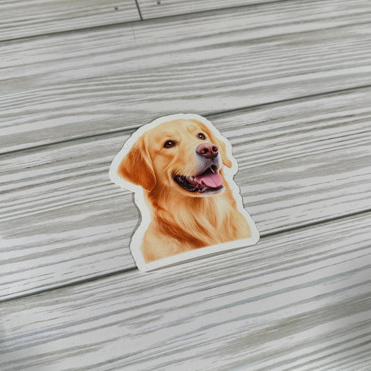 Golden Retriever
